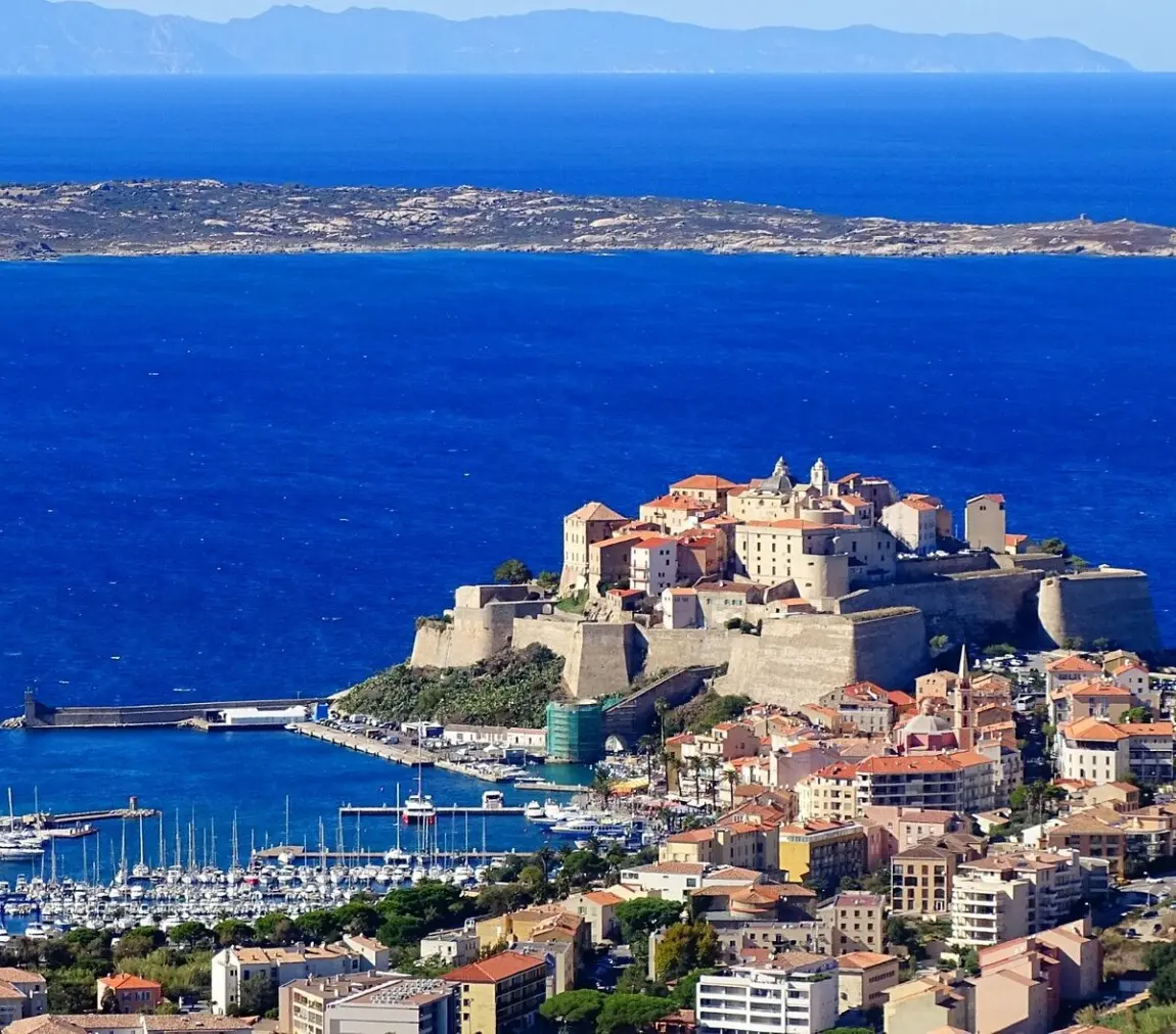 Calvi Calvi
