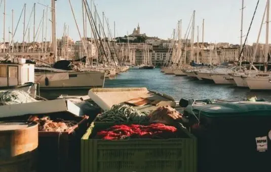 Commerces casher du Sud de la France Commerces casher du Sud de la France