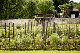 vacances cascher dans la charente 